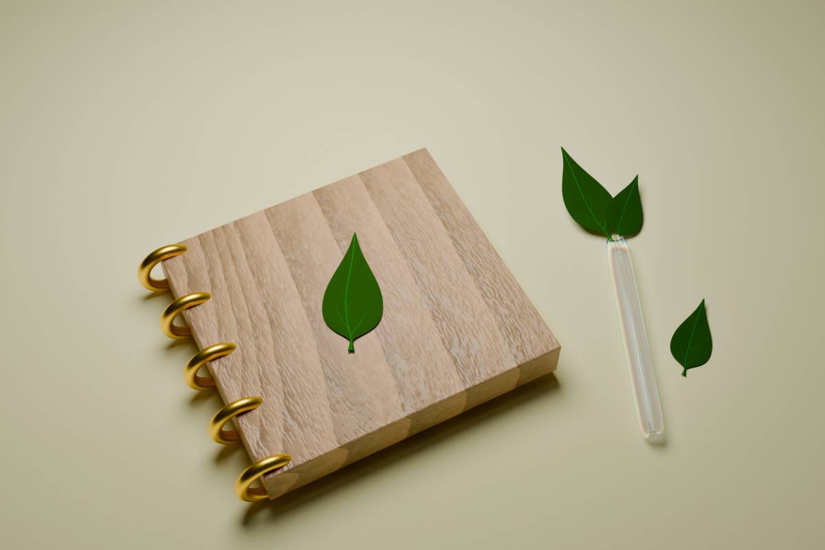 publicitaire-ecologiques